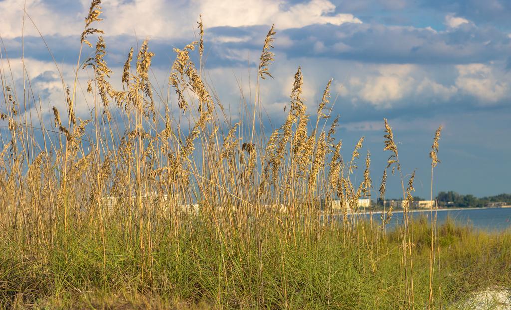 Minorga On The Key By Beachside Management Siesta Key Exteriér fotografie